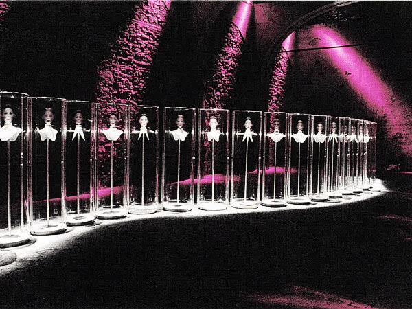 Vitrine pour expositions-PMMA