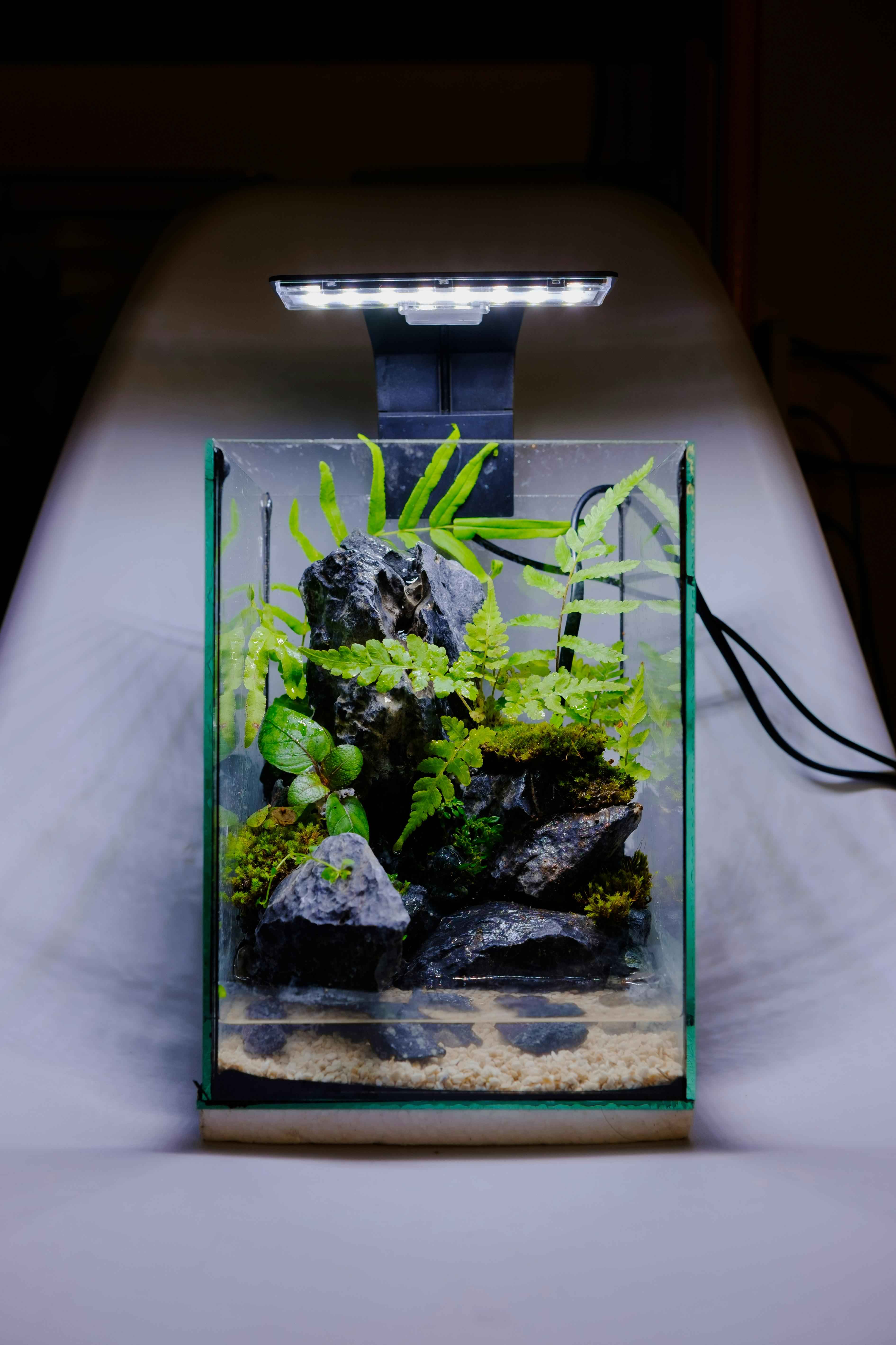 plexi_aquarium