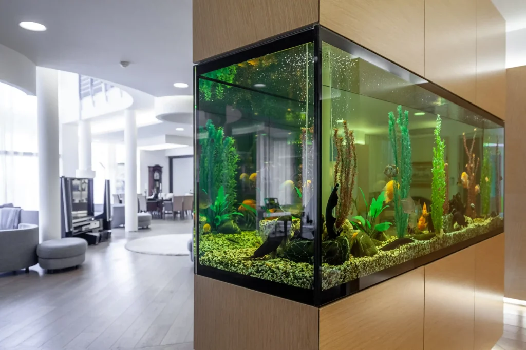 Aquarium en plexiglass intégré dans un intérieur moderne avec poissons tropicaux