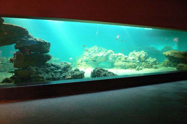 Baie d'aquarium en plexiglas